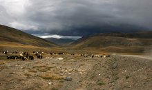Altai-Gebirge / ***