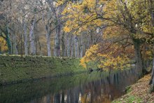 Autumn in Chenonceaux / ***