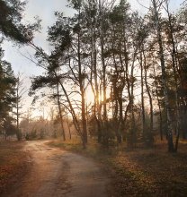 Letzten Tag des Herbstes / ***