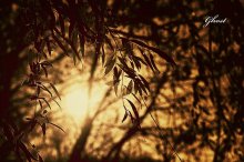Farben des Sonnenuntergangs ... / ***