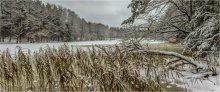 In den Winterwald / ***