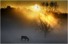 Autumn Morning / Start of a new day...