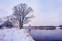 Winter day / *****
