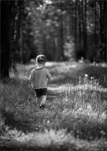 Entlang des Weges, die Wege / ***