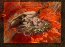 Opium Traum / ***