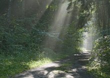 Die Strahlen der Sonne / ***