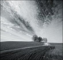 B&W / ***BW