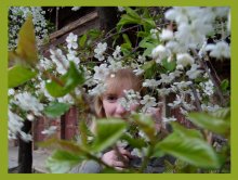 eyes & flowers / ***