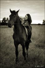 Pferd / ***