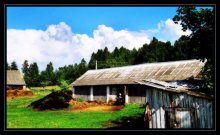 Carolina / ***