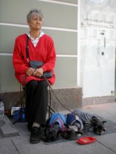 Dame mit dem Hündchen / ***