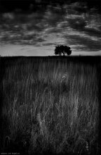 Zustand / ***