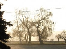 Wall goldenen Nebel / ***