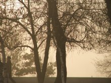 Wall goldenen Nebel / ***