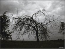 Diese - die Stimmung der letzten beiden Tage, wenn der Regen frech bis zum Ende wurde! / ***