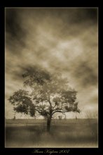 Nebliger Morgen / ***