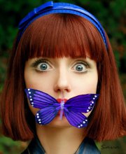 Schmetterling / ***