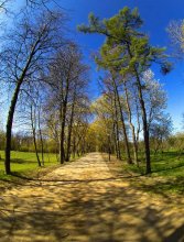 Loshyca, spring / ***