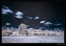 Bewegung / ***