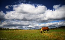 Einfache Landschaft treiben Sommer ... / ***