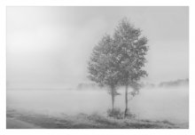 Nebel / ***