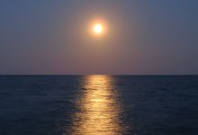 Moon / ***
