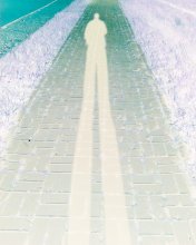 Shadow / ***