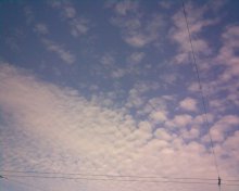 Federn / ***