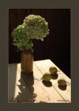 Clay und Birnen / ***