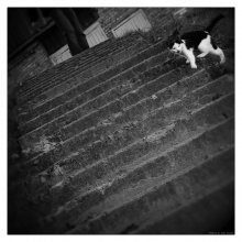 ...come with me... / ***