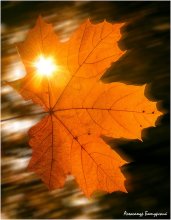 Fiery / ***