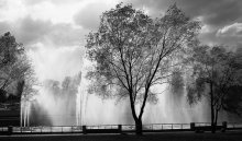 den Winter / ***