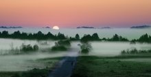 Nebliger Morgen / ***