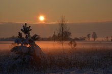 Dezember. Abend / ***
