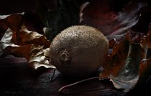 Autumn .. / ***