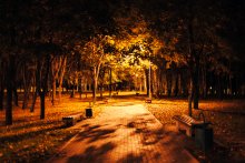 Der Herbst ist Nacht / ***