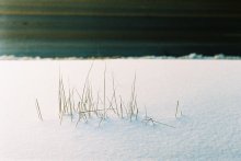 Der Wunsch, im Winter leben nicht brechen! / ***