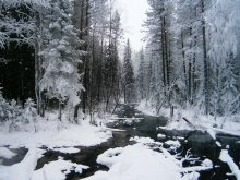 Wintermärchen. / ***