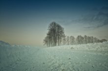 In die Ferne / ***