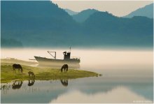 Nebligen Morgen auf dem Gold Lake / ***