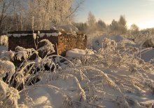 Frost und Sonne / ***