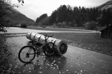 Pro Bike № 5 / ***