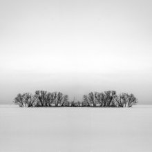 Symmetrie / ***