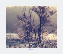 A Happy 2013 / ***