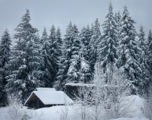 Weltlich / ***