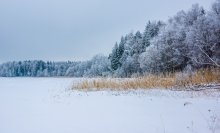 Winter / ***