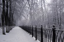 Schneebedeckte Allee / ***