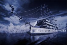 "Barbossa" / *****