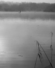 Alone. / ***