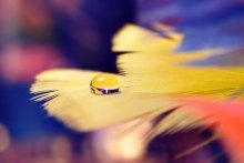 Citrine / _______